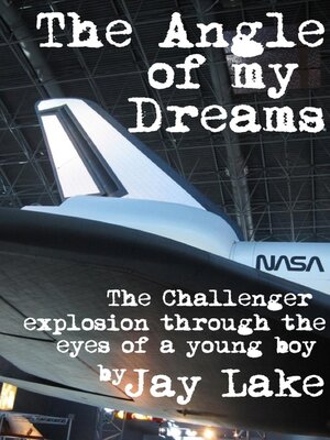 cover image of The Angle of My Dreams
